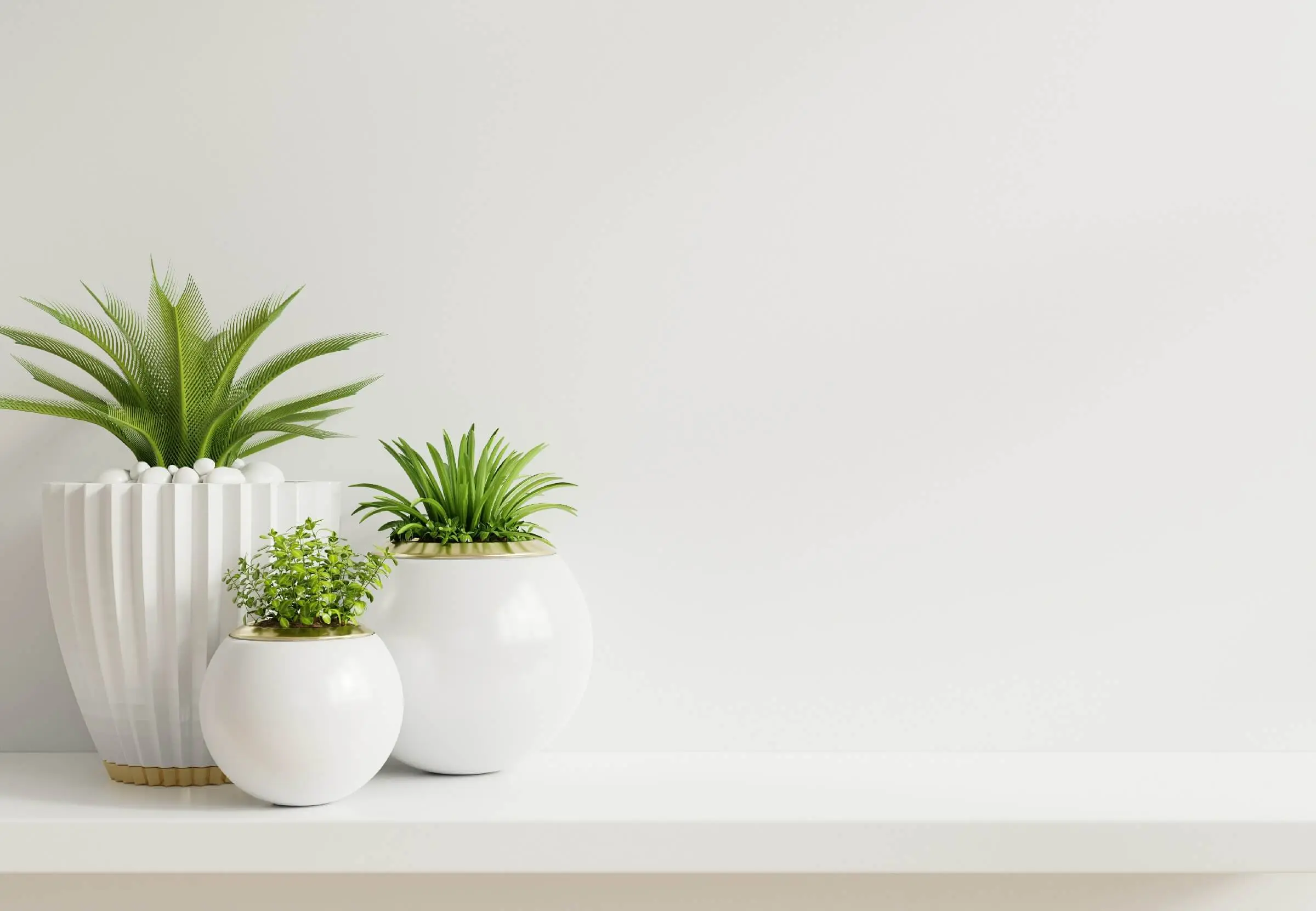 Get some plants for your office desk decor