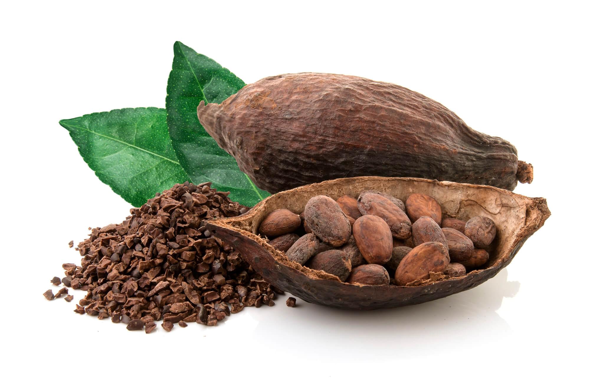5 Health Benefits of Cocoa Chocolate You Must Know For a Healthy Life