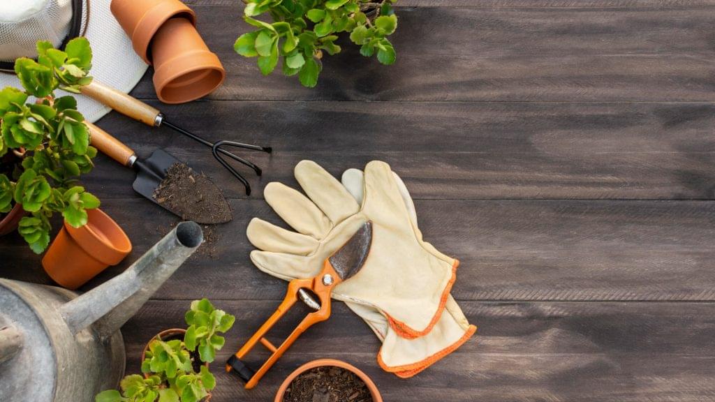 Gardening tools as father’s day gifts