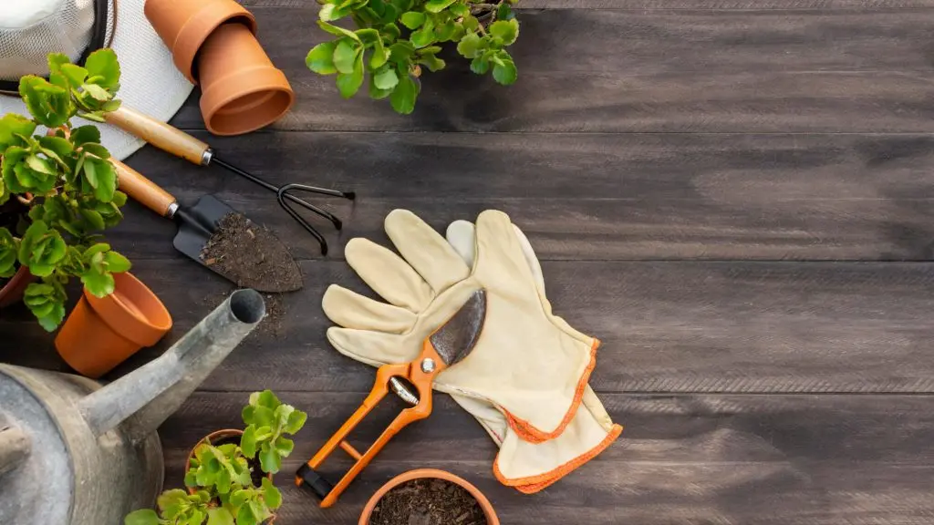 Gardening tools as Fathers Day gifts